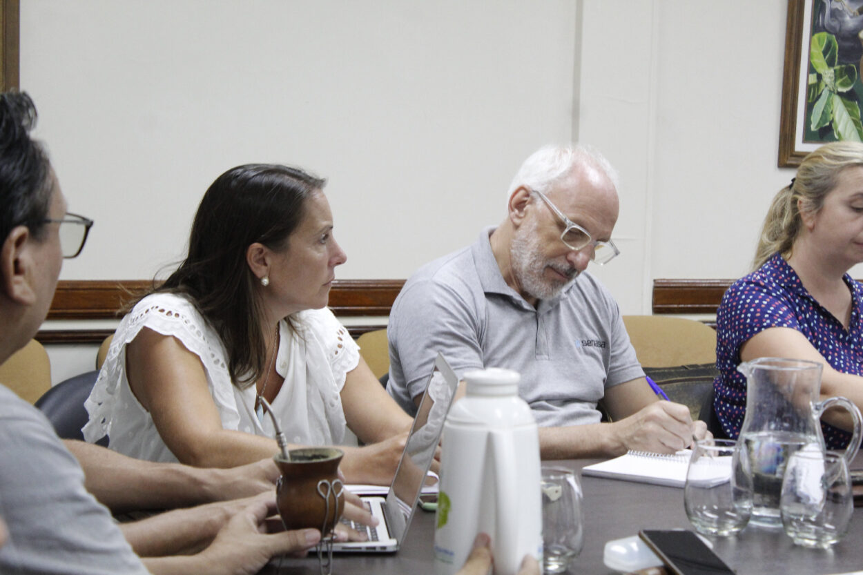 Identifican el agente causal de agallas en yerba mate y definen medidas de prevención imagen-6