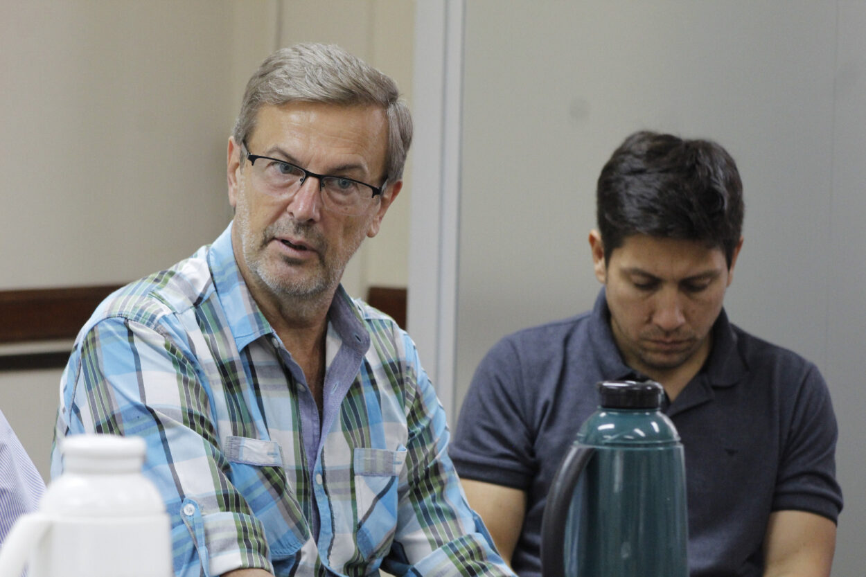 Identifican el agente causal de agallas en yerba mate y definen medidas de prevención imagen-8