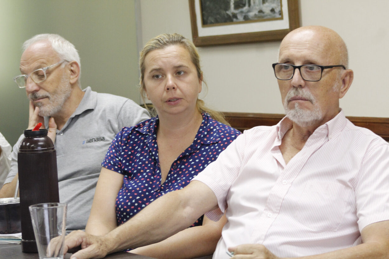 Identifican el agente causal de agallas en yerba mate y definen medidas de prevención imagen-2