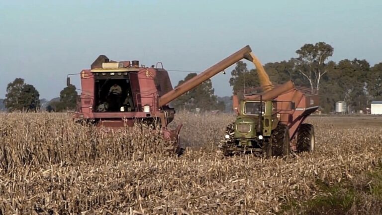 La agroindustria generó el 55% de las exportaciones argentinas en 2023 imagen-10