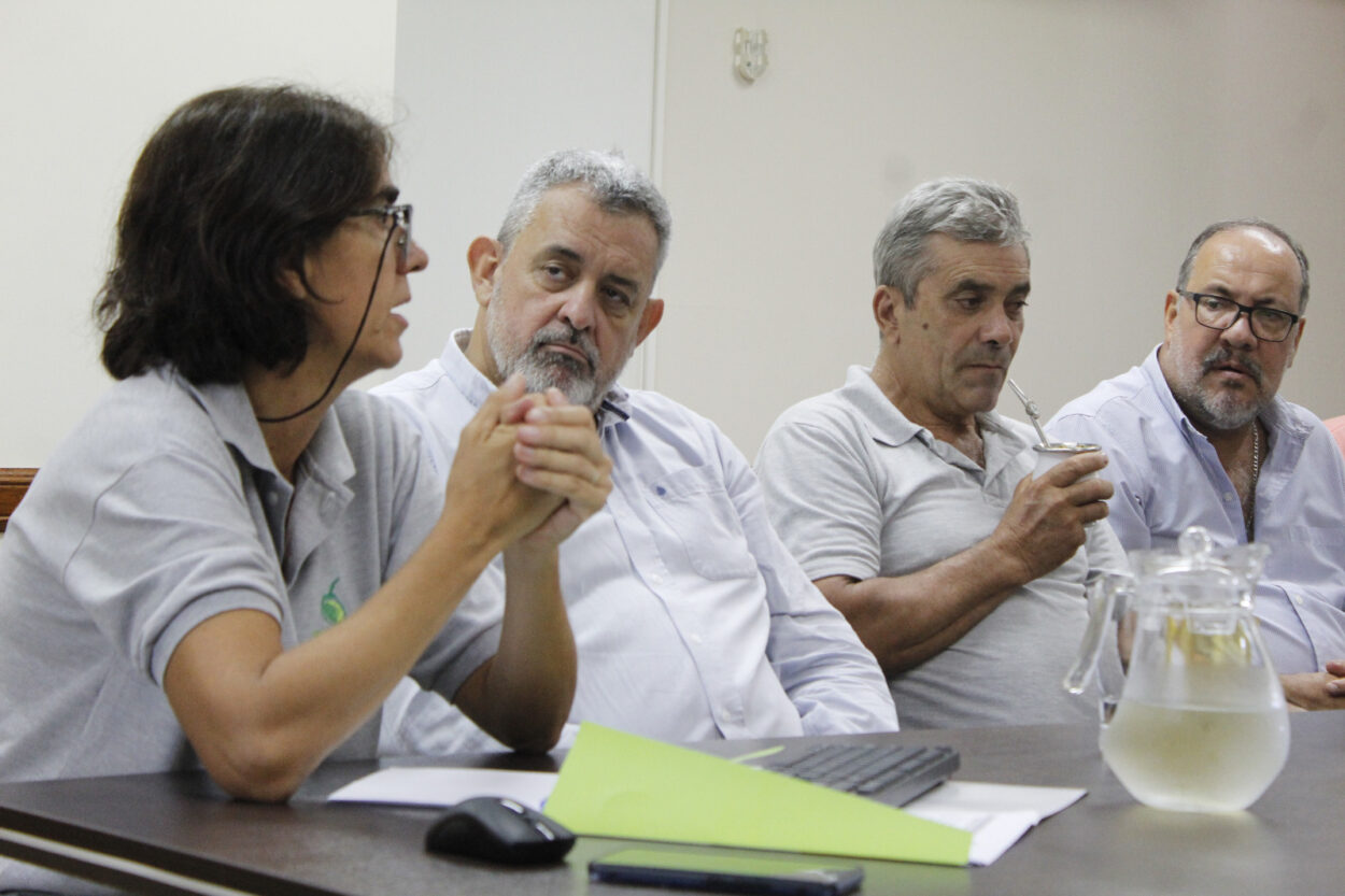 Identifican el agente causal de agallas en yerba mate y definen medidas de prevención imagen-4