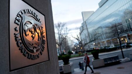 El FMI apoya la gestión de Milei con U$S 4700 millones pero advierte de una estanflación imagen-6