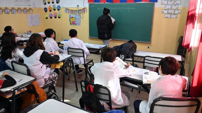 A días del inicio de clases el Gobierno nacional evalúa declarar la educación "servicio esencial" imagen-45