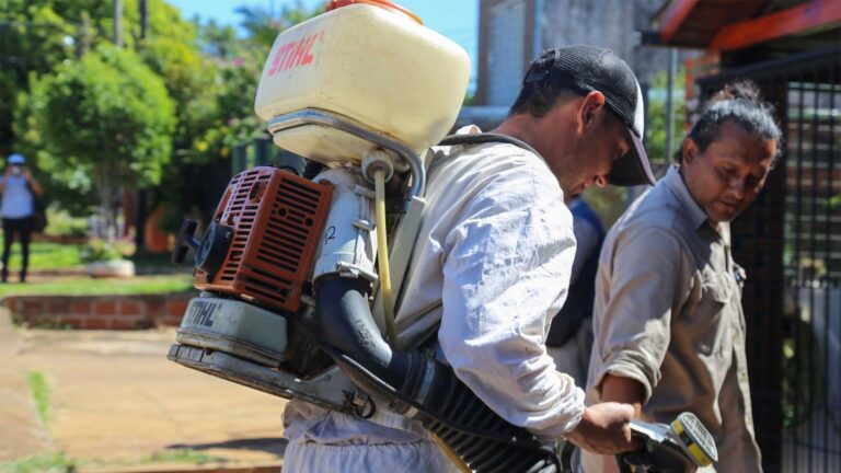 Misiones llegó a 3.537 casos confirmados de Dengue con 57 pacientes internados imagen-13