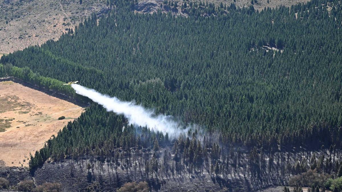 Incendio en el Parque Nacional Los Alerces: está "activo, pero apaciguado" imagen-1