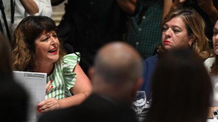 Comenzó a deliberar la Comisión Bicameral que debe tratar el DNU del Gobierno Comenzó a deliberar la Comisión Bicameral que debe tratar el DNU del Gobierno imagen-4