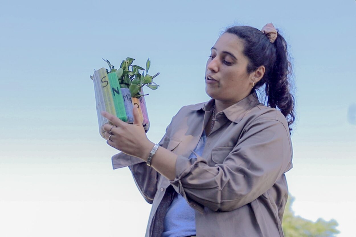 Capacitaron a productores yerbateros de El Soberbio sobre manejo de suelo y fertilización imagen-8