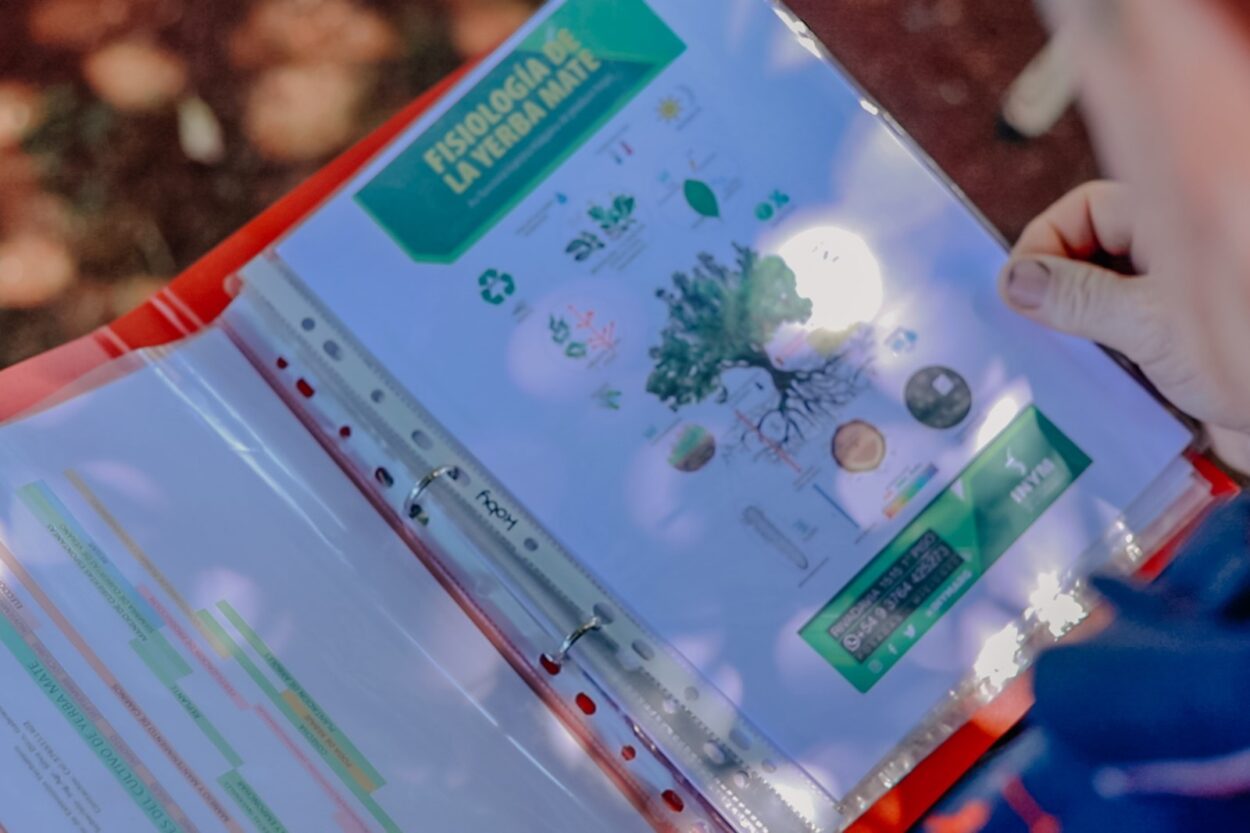 Capacitaron a productores yerbateros de El Soberbio sobre manejo de suelo y fertilización imagen-4