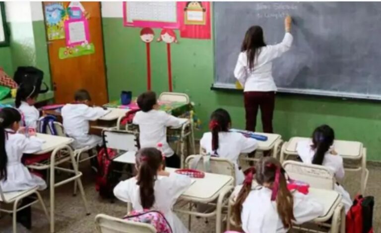 "Se decidió limitar la designación de personal suplente para salvaguardar el futuro de la educación de Misiones" imagen-46