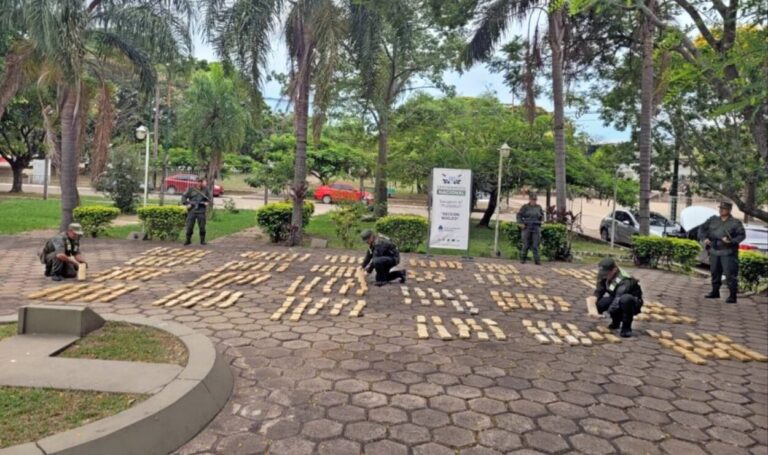 Investigan y desbaratan una organización narco que intentaba trasladar 347 kilos de marihuana imagen-7