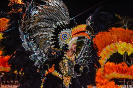 Misiones a puro color y plumas rumbo al fin de semana XL de Carnaval  imagen-8