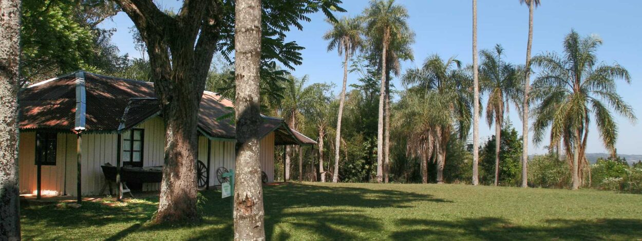 Por el aniversario de la muerte de Quiroga, los escritores se reúnen en la Casa Museo de San Ignacio imagen-4