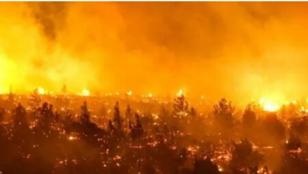 Chile: ascienden a 112 los muertos por los incendios forestales imagen-10