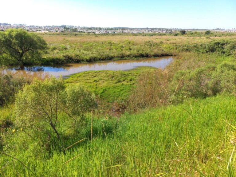 Conservación de los humedales entre las medidas ambientalistas del Iprodha imagen-12