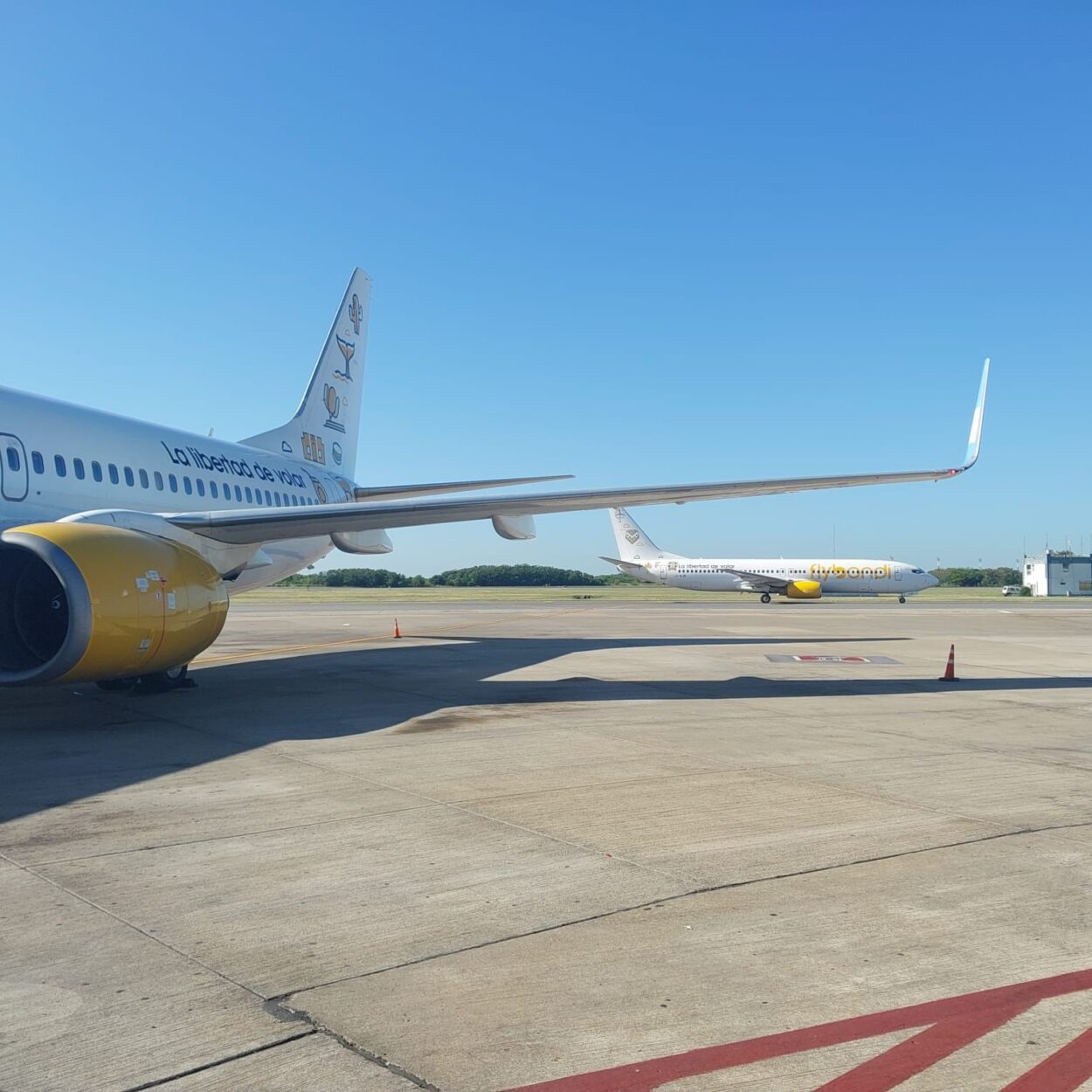 Flybondi celebra su sexto aniversario con tarifas desde 16 mil para volar por Argentina  imagen-6