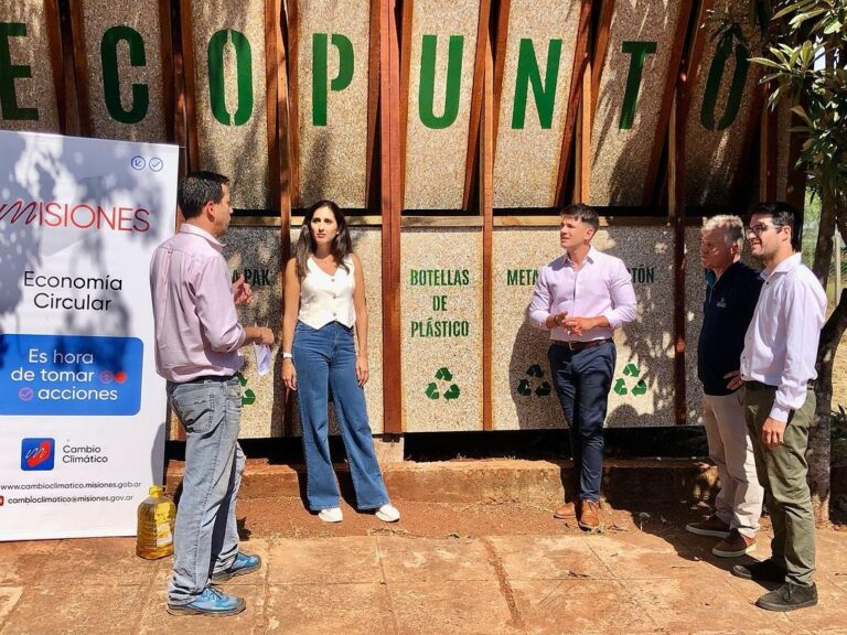 "En Misiones estamos impulsando la economía emprendedora del siglo XXI", dijo el Vicegobernador imagen-22