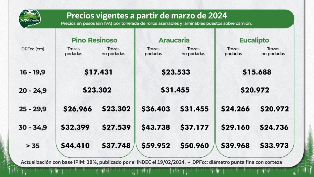 Actualizan precio de la materia prima forestal, con una variación del 18% respecto a enero 2024 imagen-6