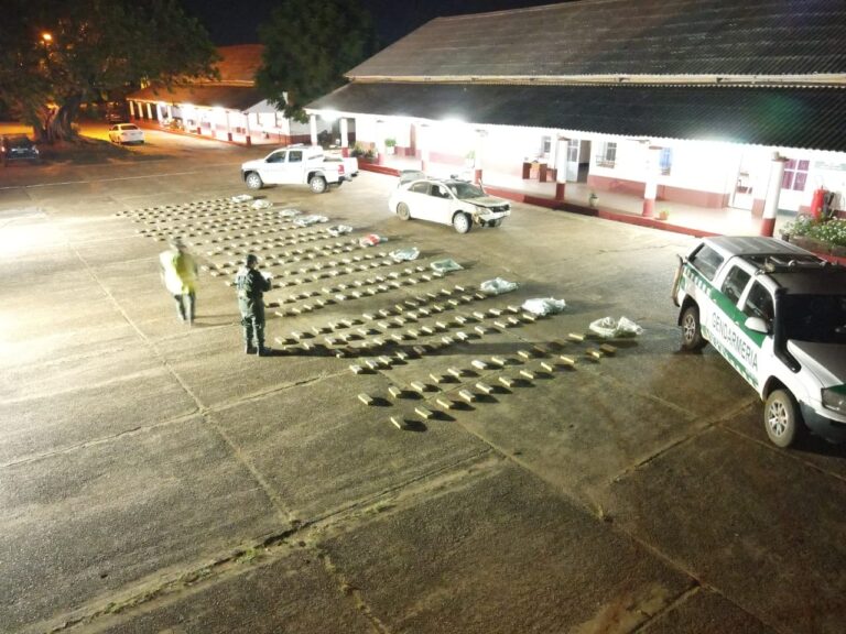 Gendarmería secuestró más de 263 kilos de marihuana en Corrientes imagen-30