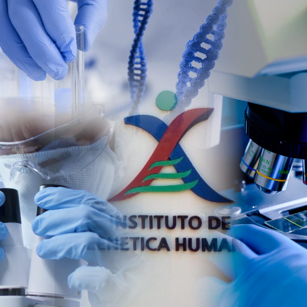 Misiones potencia el desarrollo de la Genética y Genómica Humana para el diagnóstico de enfermedades de origen genético imagen-1