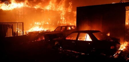 Confirmaron la muerte de 51 personas por los incendios forestales en el centro de Chile imagen-3
