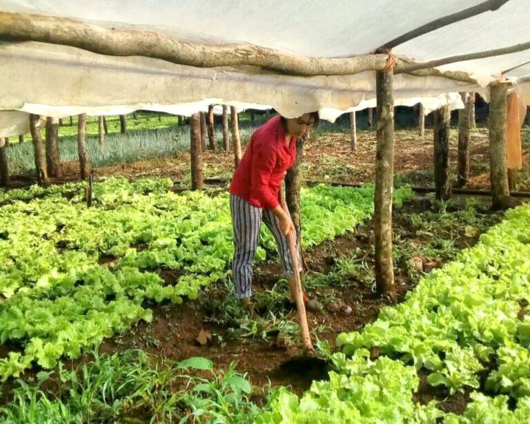 Aprobaron la iniciativa para que Gobernador Roca tenga su Mercador Concentrador de Productores  imagen-39