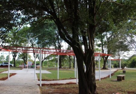 Realizaron tareas de mantenimiento y restauración en el barrio Virgen del Rosario en Alem Realizaron tareas de mantenimiento y restauración en el barrio Virgen del Rosario en Alem imagen-8