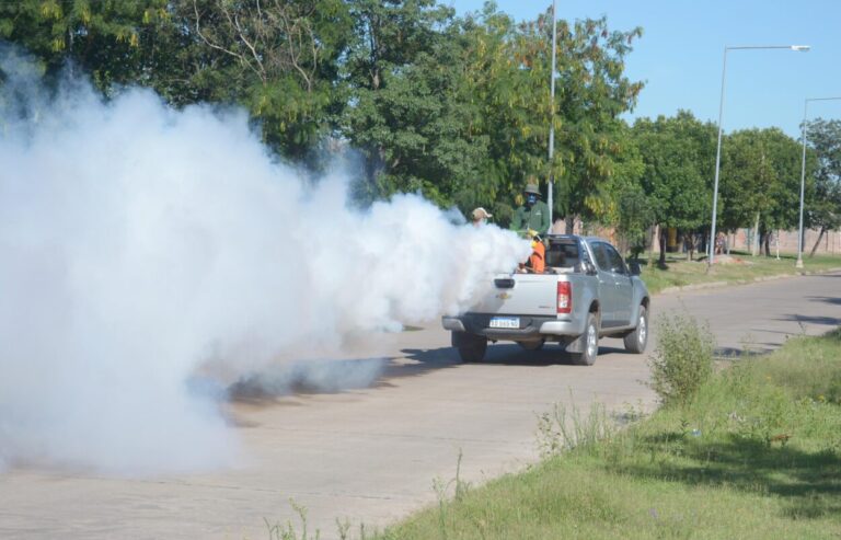 Alba Posse realizó tareas de descacharrado y fumigación para prevenir casos de dengue imagen-19