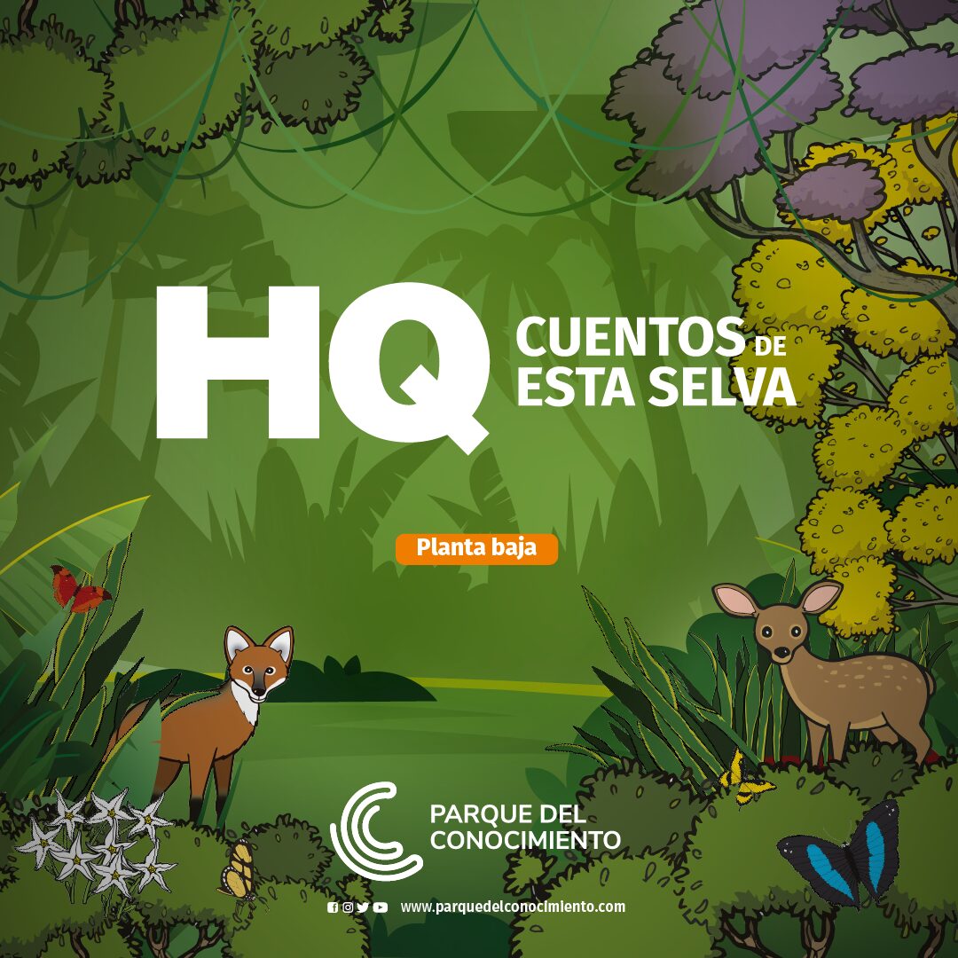 La muestra "HQ: cuentos de esta selva" regresa al Parque del Conocimiento imagen-2