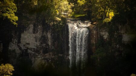 Salto Encantado realizará este sábado el paseo turistico y gastronomico «Noches en el Parque» Salto Encantado realizará este sábado el paseo turistico y gastronomico "Noches en el Parque" imagen-6
