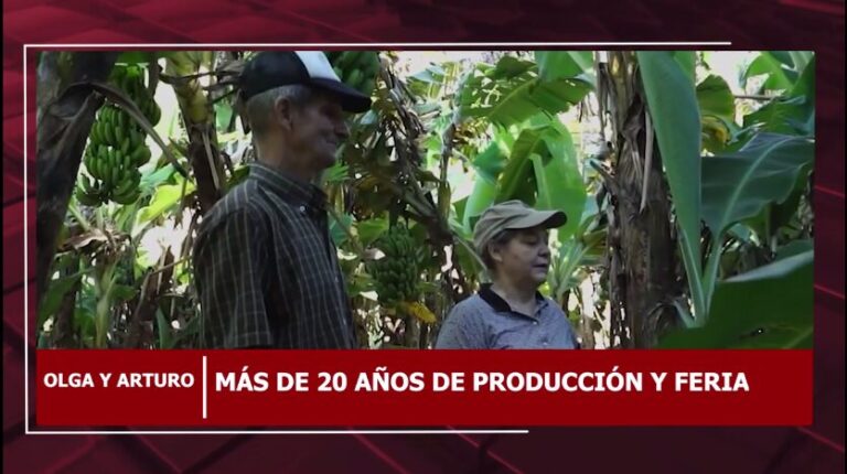 Matrimonio de productores con más de 20 años de trayectoria destacan la existencia de la feria franca en Oberá imagen-46