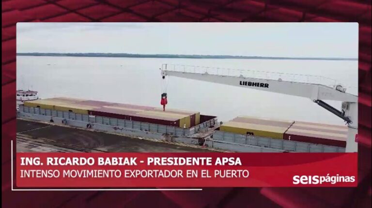 Babiak señaló que el Puerto de Posadas registró un intenso movimiento, "la primera carga del año fue de 50 contendedores" imagen-30