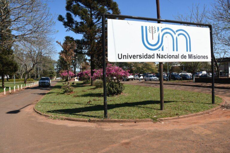 Por la falta de un presupuesto sólido, señalan que los beneficios de los estudiantes universitarios están en riesgos imagen-36