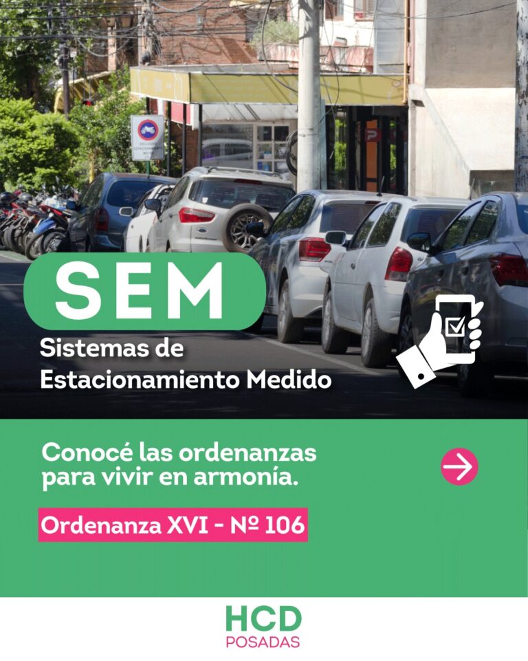 SEM Posadas: Pago Voluntario a un click imagen-1