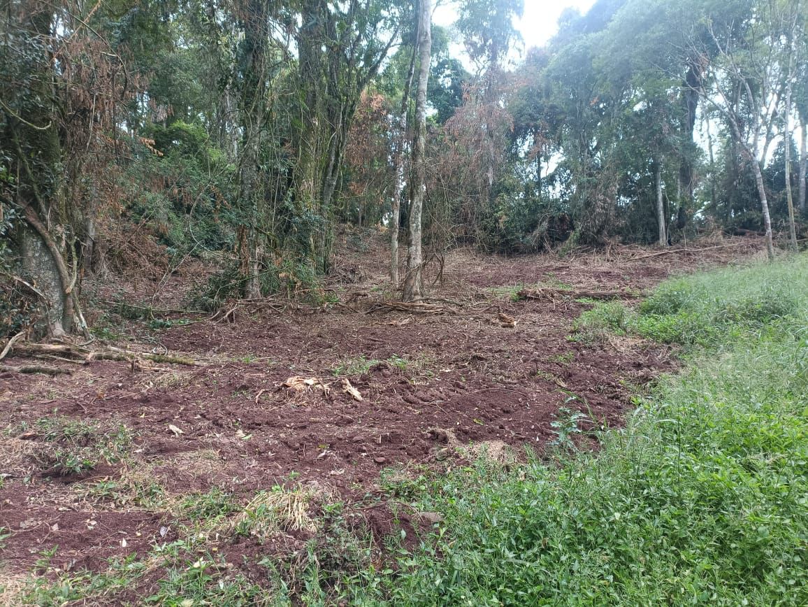 Frenaron una actividad de cambio ilegal de uso de suelo en las afueras de Fracrán imagen-2