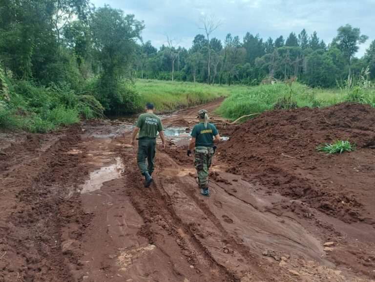 Frenaron una actividad de cambio ilegal de uso de suelo en las afueras de Fracrán imagen-9