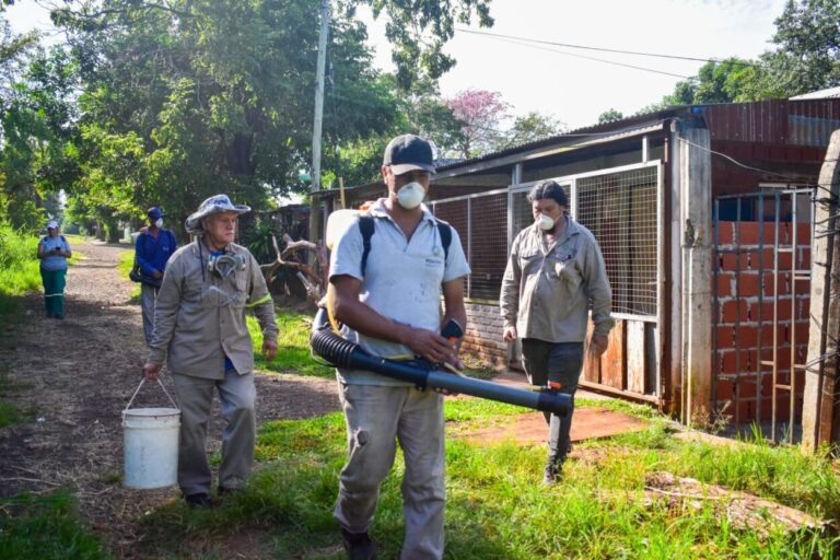 Operativos diarios para evitar la proliferación del Aedes aegypti imagen-14