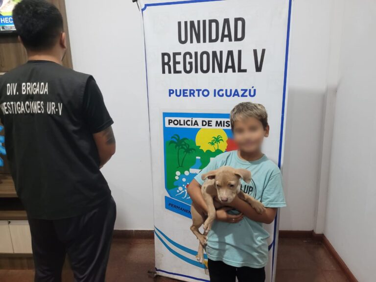 Robó una perrita pitbull a un niño y fue detenido: además recuperaron otros artefactos que sustrajo y los había vendido imagen-50