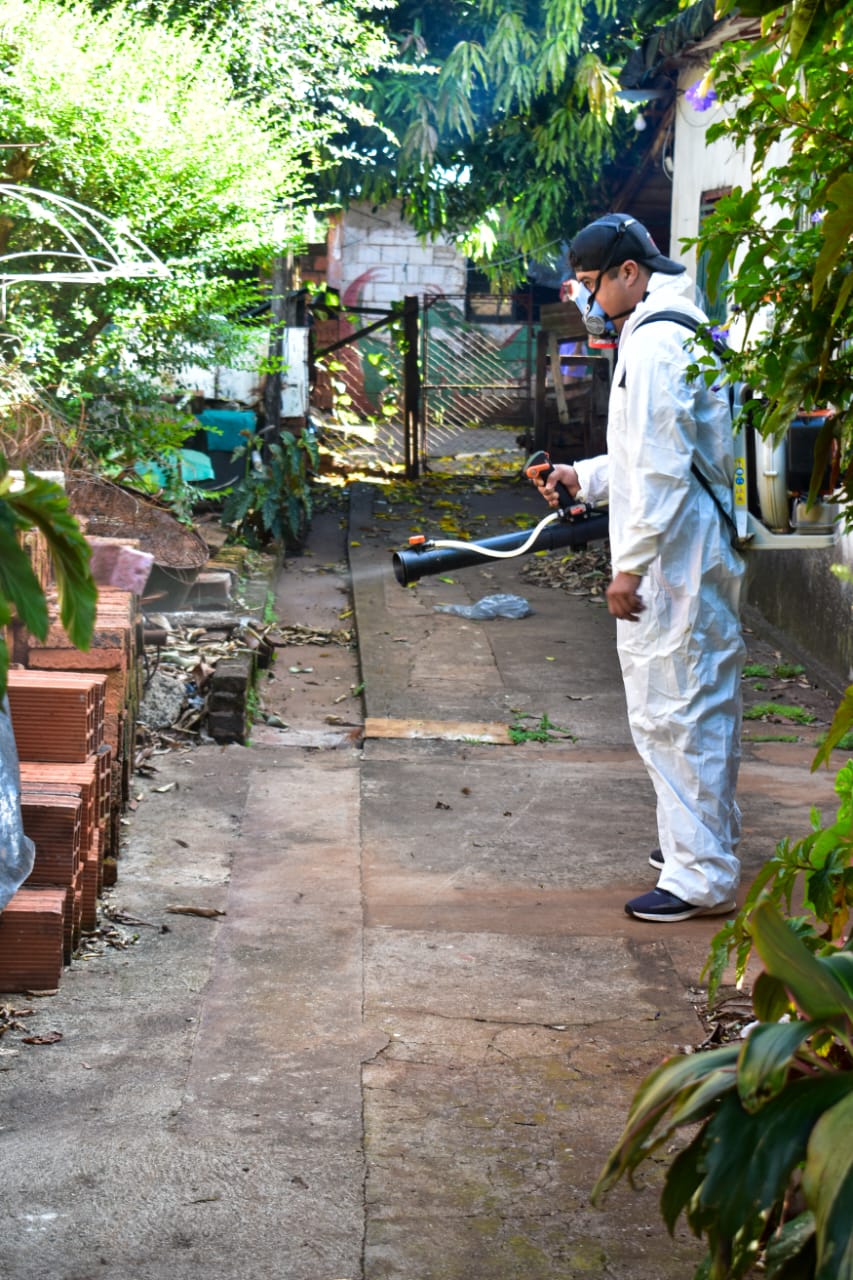 Continúan los operativos contra el Dengue en barrios posadeños imagen-2