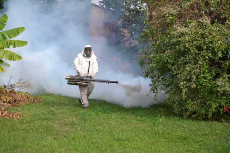 Continúan los operativos de descacharrización y control focal para prevenir el Dengue imagen-25