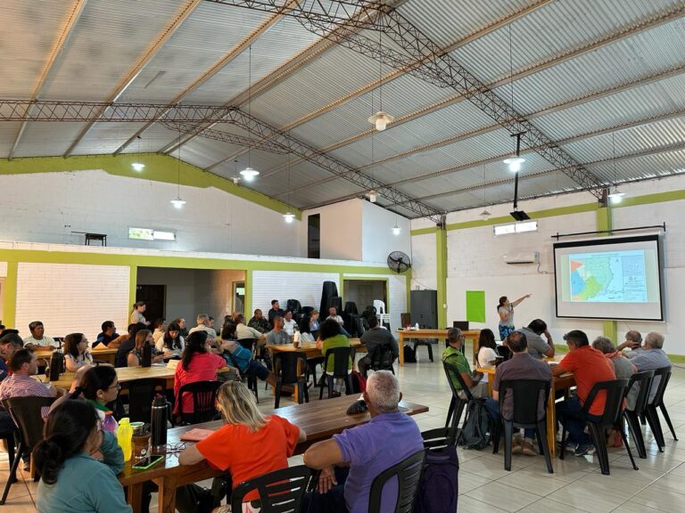 Avanza el Plan de Gestión de Yabotí: nuevo taller, esta vez sobre estrategias con el sector turístico y la comunidad local imagen-12