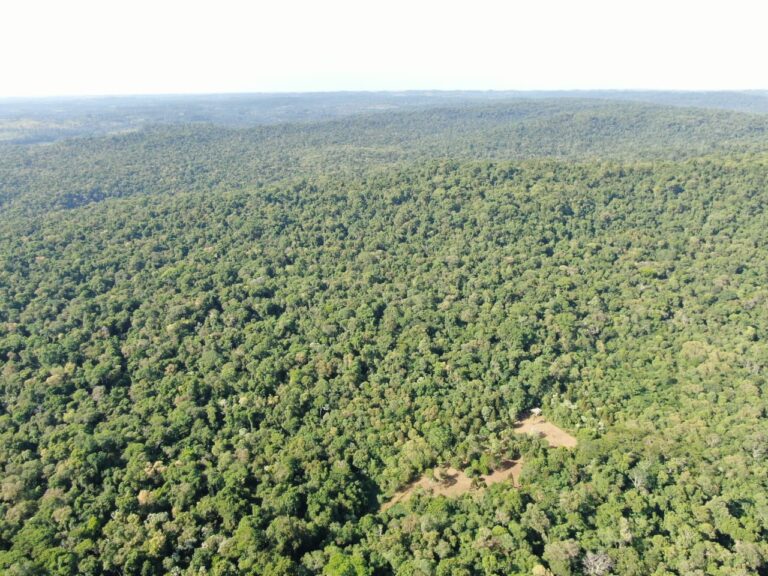 Misiones incorporó 28 nuevas hectáreas al Parque Provincial Guardaparque Horacio Foerster imagen-44
