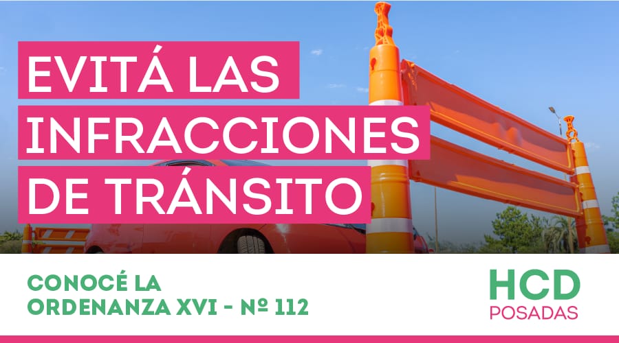 Conducir en estado de ebriedad o bajo efectos de estupefacientes, entre las faltas graves imagen-2