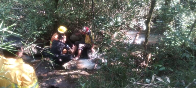 Campo Viera: Hallaron en malas condiciones de salud al abuelo que era intensamente buscado imagen-8
