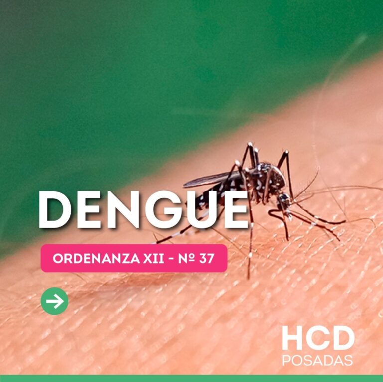 Señalan cuáles son las responsabilidades de propietarios, inquilinos y establecimientos en la prevención del dengue imagen-40