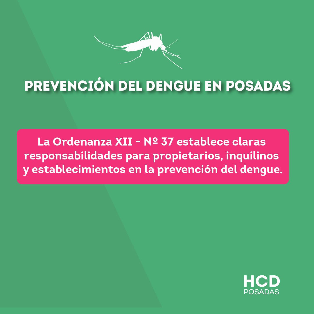 Señalan cuáles son las responsabilidades de propietarios, inquilinos y establecimientos en la prevención del dengue imagen-4