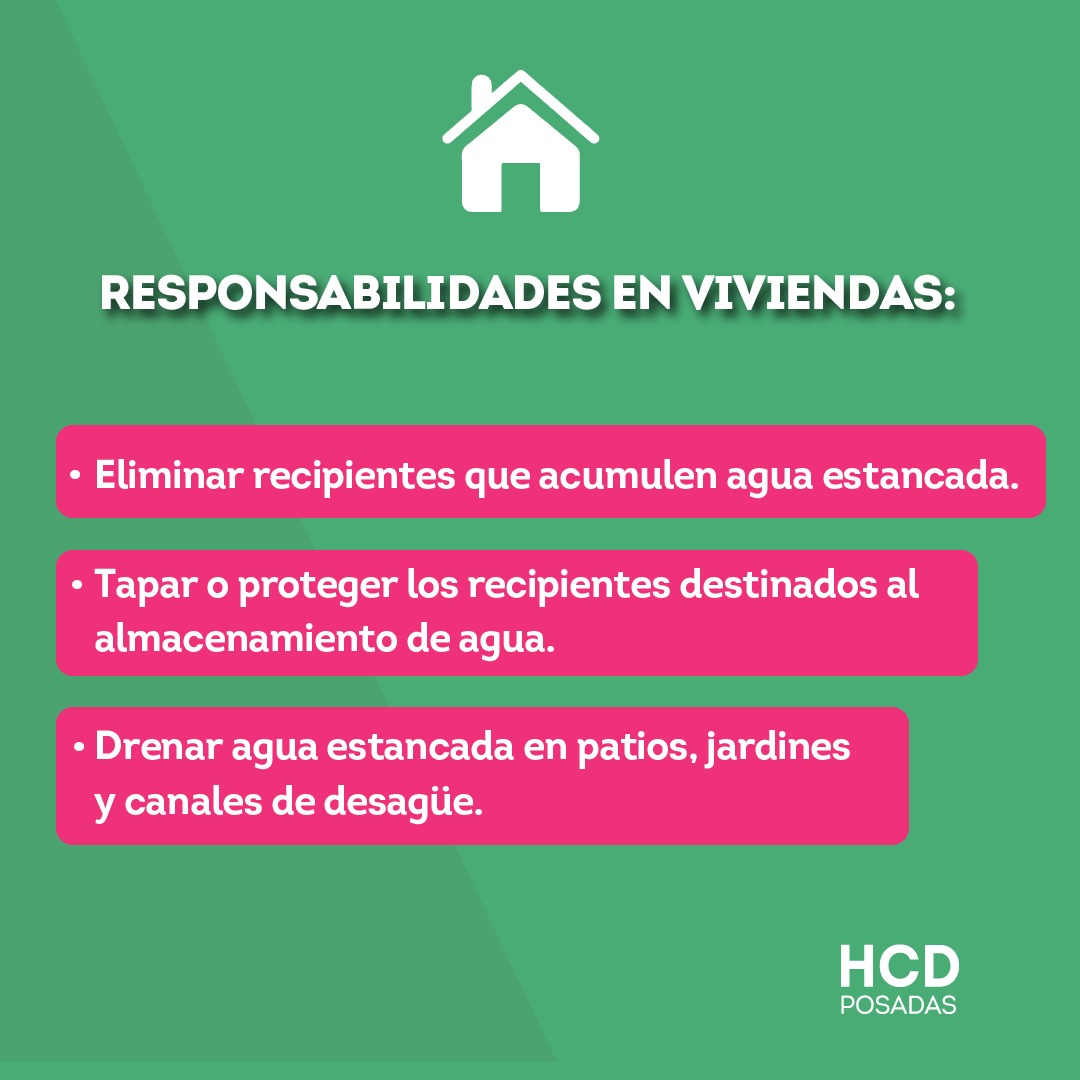 Señalan cuáles son las responsabilidades de propietarios, inquilinos y establecimientos en la prevención del dengue imagen-2