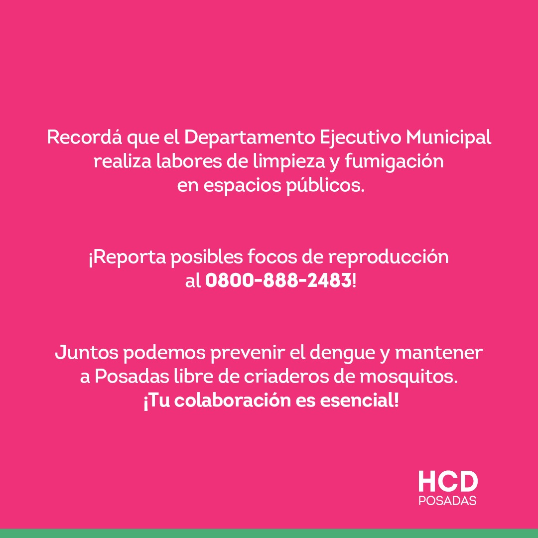 Señalan cuáles son las responsabilidades de propietarios, inquilinos y establecimientos en la prevención del dengue imagen-10
