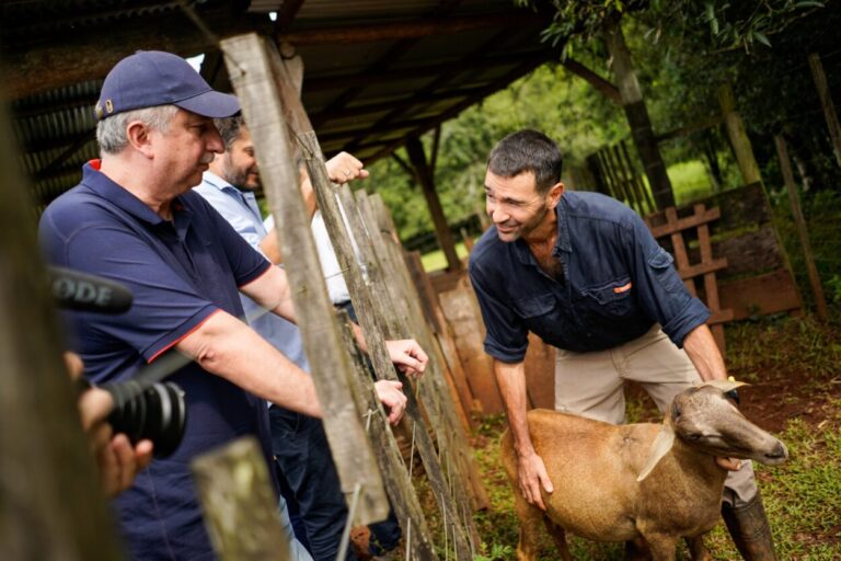 "Este gobierno provincial está presente en un momento que es sumamente difícil”, dijo Passalacqua en la entrega de ejemplares bovinos y ovinos par cooperativas lecheras y escuelas agrotécnicas imagen-22