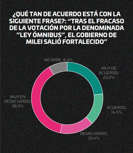 "La política en shock": según encuesta, el 50,8% responsabiliza a Milei de lo mal que está la economía argentina imagen-22