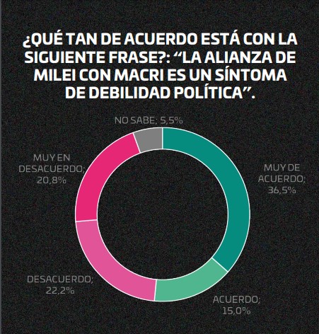 "La política en shock": según encuesta, el 50,8% responsabiliza a Milei de lo mal que está la economía argentina imagen-24